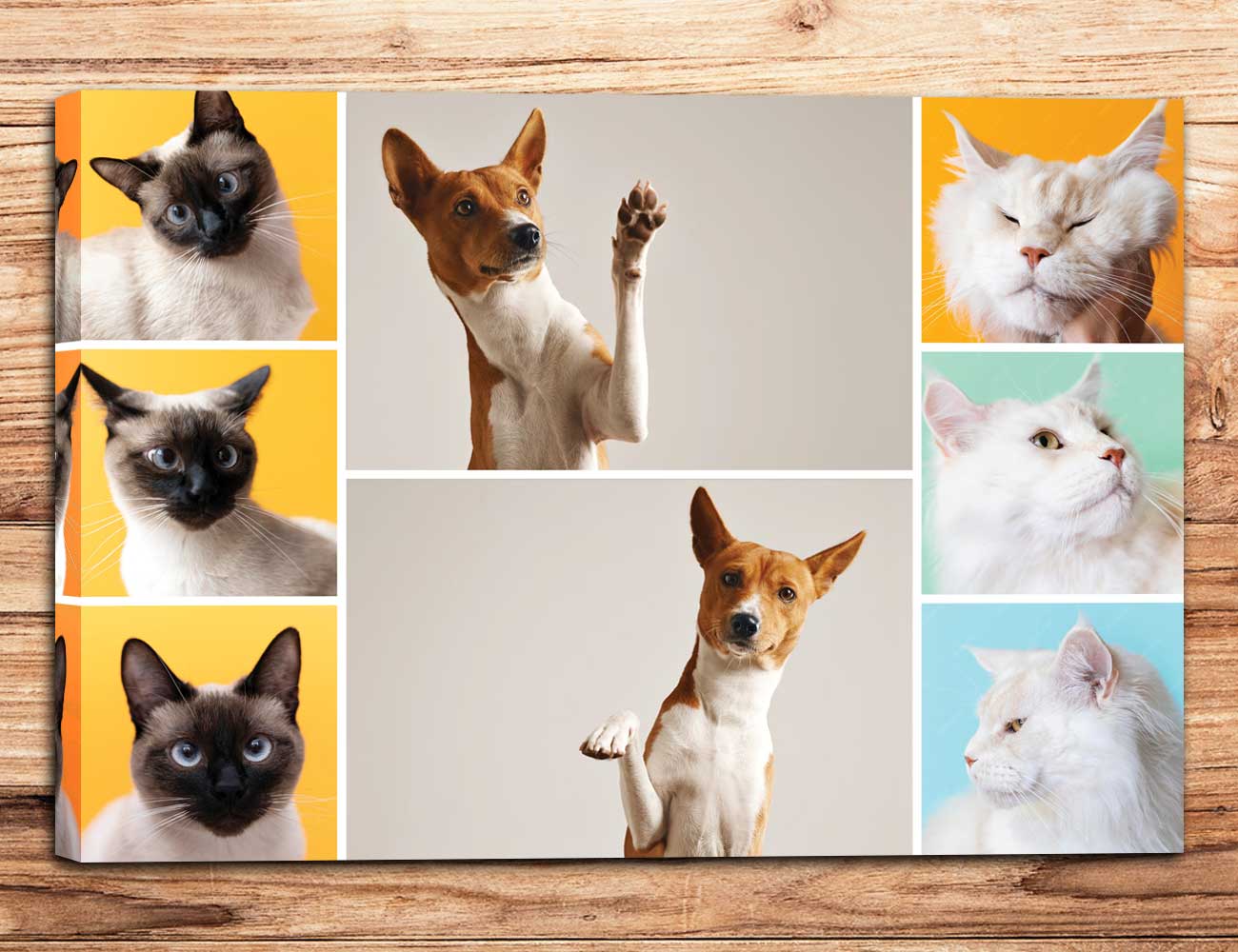 Collage 8 foto 100x70 orizzontale