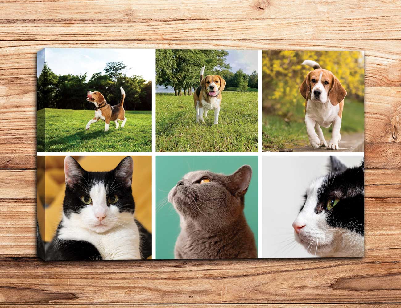 Collage 6 foto 60x40 orizzontale